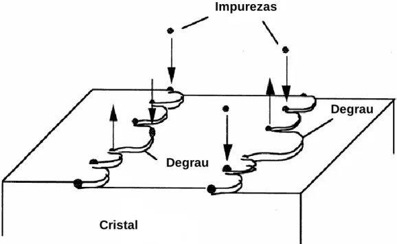 Figura 1.12: Modelo de adsorção de impurezas (Kubota, 2001a). 
