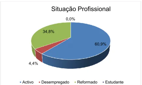 Gráfico 1 - Distribuição por situação profissional 