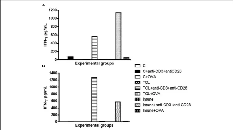 FIGURE 3 | Analysis of the concentration of IFN- γ in the mesenteric lymph node of animals 129 (A) and 5-LO-KO (B)