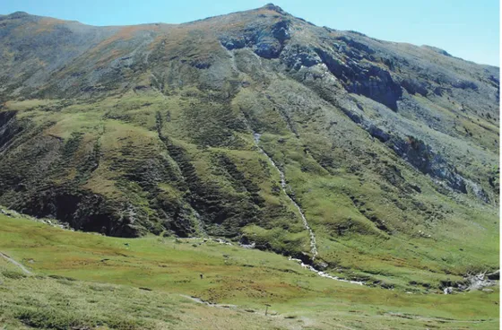 Fig. 9.  Formaciones turbosas en el estadio alpino del Valle de Núria. La formación de los prados alpinos en estos sectores está  estrechamente relacionada con la actividad ganadera prehistórica e histórica.