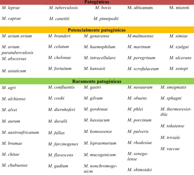 Tabela 1: Classificação das espécies de micobactérias no Humano de acordo com a pa- pa-togenicidade (adaptado de Kazda et al