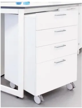 Figure 3 –Example of cabinet option. 
