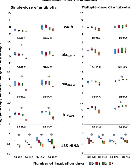 Figure 3.  Effect of antibiotic on the variation of 16S rRNA and antibiotic resistance genes  along the time