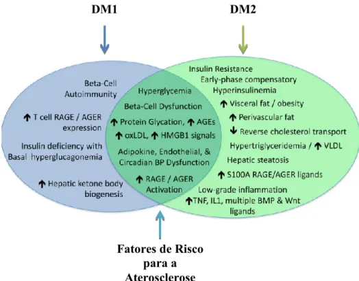 Figura 2 – Alterações metabólicas da DM1 e da DM2, e fatores de risco da aterosclerose, adaptado de  (Stabley &amp; Tower, 2017)
