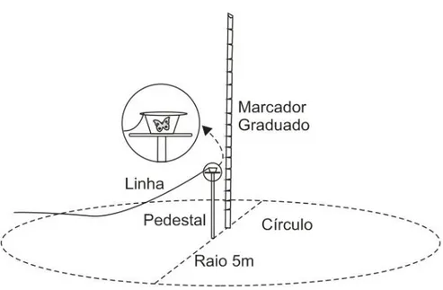 Figura 2: Estrutura montada na área aberta escolhida para os testes comportamentais de vôo