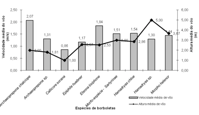 Figura  3:  Variação  da  velocidade  média  e  altura  de  vôo  das  espécies  das  borboletas  coletadas  nas  trilhas  do  Parque Natural Municipal Chácara do Lessa 