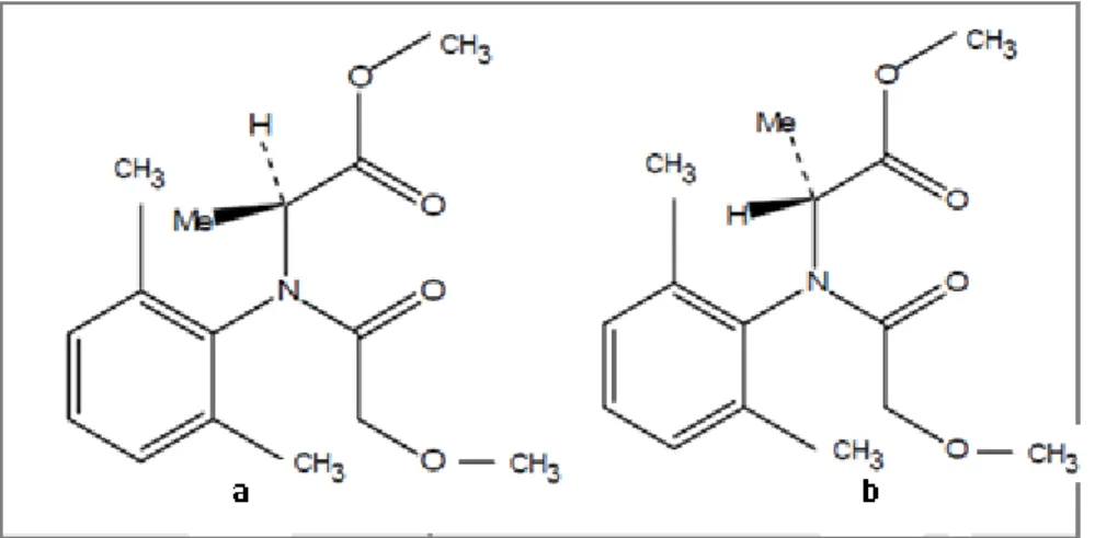 Figura 2: Estrutura dos enantiómeros S (a) e R (b) do Metalaxil. (Adaptado de: Monkiedje et al., 2005) 