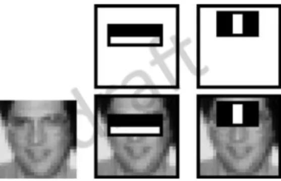 Figure 2.3: In the first row, the image shows the two features selected by the algorithm.