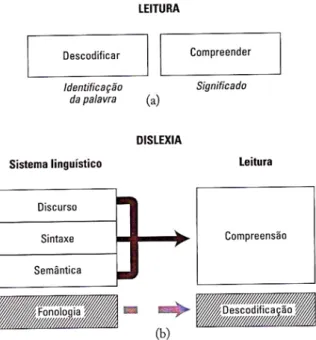 Figura 4: O paradoxo da dislexia 