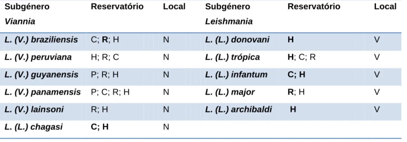 Tabela 2: Principais espécies do género Leishmania (adaptado de Andrade et al., 2006) 