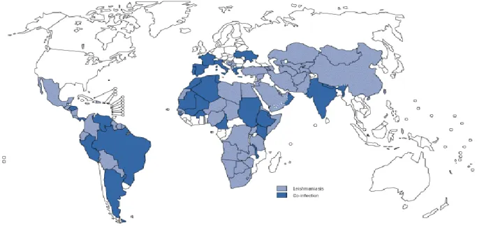 Fig. 9: Mapa da distribuição geográfica da leishmaniose e da co-infecção, leishmania/VIH (1990-1998)   Fonte: http://www.who.int/csr/resources/publications/CSR_ISR_2000_1leish/en/index.html 