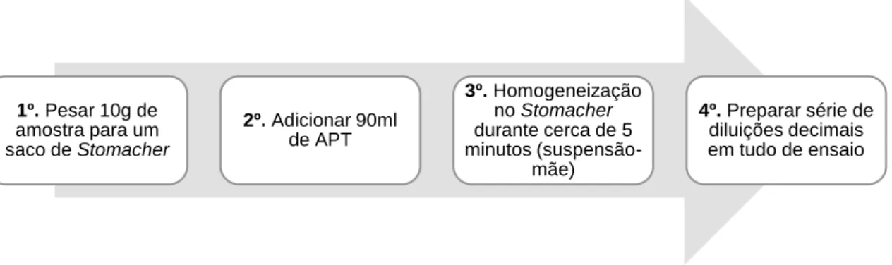 Figura 3 – Fluxograma de tratamento das amostras para análise microbiológica. 