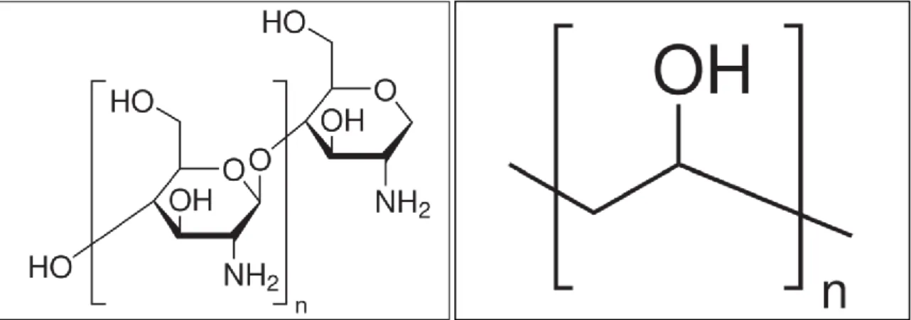 Figure 3 Chemical structures of chitosan (left) and PVA (right) 2 . 