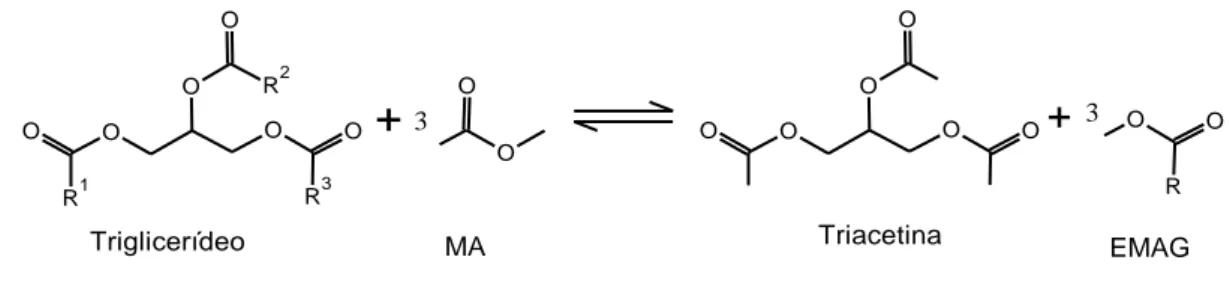 Figura 1- Estequiometria de reação interesterificação entre o triglicerídeo e metil acetato para produzir triacetina e  ésteres metílicos de ácidos graxos (EMAG) 