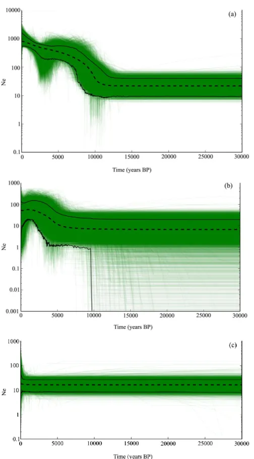 Fig. 6 Extended Bayesian Skyline plots of the effective population size through time estimated  from 1450 million post-burn-in generations from three MCMC simulations