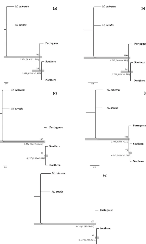 Fig. S1 Consensus species tree inferred with ML in STEM for clocklike loci (a, b, e) and for all loci (c, d), with θp =  0.0056 (a, c), θma = 0.0268 (b, d) and θa = 0.0118 (e)