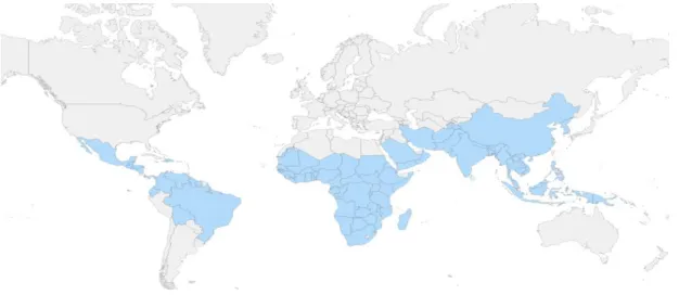 Figura 1.3-Distribuição mundial da malária. (CDC, 2018). 