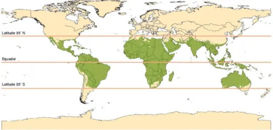 Figura 1.5-Distribuição mundial de Aedes aegypti ( www.iasaude.pt )