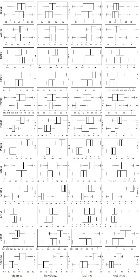 Figure 1.2-Morphometrics in São Tomé common bird species. Each column represents a species, indicated by a combination of the three first letters of the generic name and the first three letters of the specific name ordered alphabetically