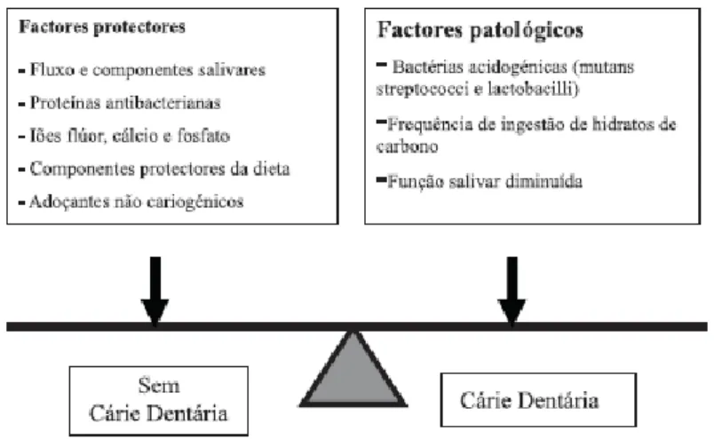 Figura 1 - Diagrama esquemático do balanço entre os fatores patológicos e protetores no processo  de cárie dentária (adaptado de Melo, P 2008) 