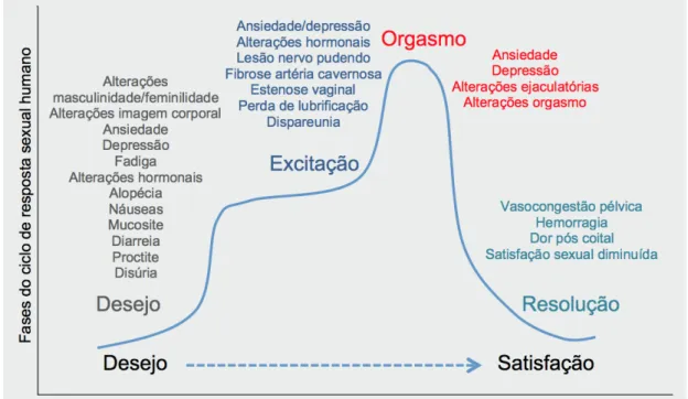 Figura 1. Impacto dos tratamentos oncológicos no ciclo de resposta sexual. 