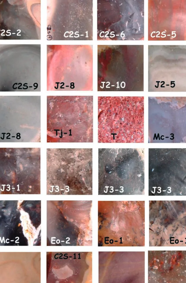 FIG. 5.1.1-7  – Tipos de sílex amostrados das formações geológicas do Miocénico (Mc), Eocénico (Eo), Cenomaniano superior (C2s),  Oxfordiano médio e superior (J3), Bajociano/Batoniáno (J2), Hetangiano (Tj)