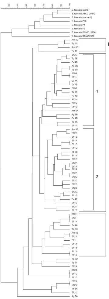 Fig. 2. Numerical analysis of RAPD–PCR proﬁles obtained from strains of E. faecalis isolated from ‘‘Alheira” manufactured in seven different plants