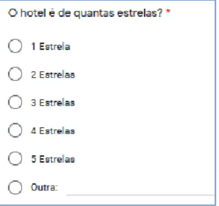 Figura 3.1 – Pergunta e opções de resposta da P1.1 – “Tipo e categoria do hotel” 