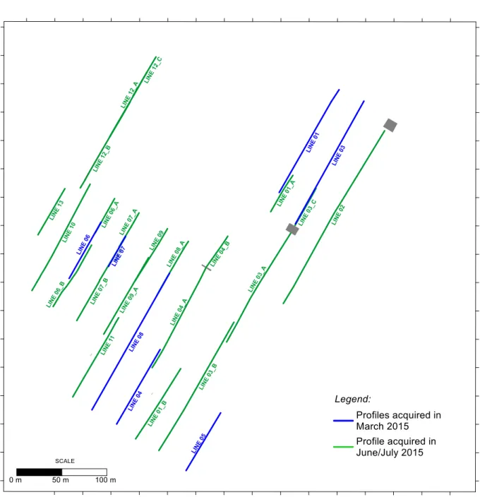 Figure 6 – Survey seismic profiles acquired in March 2015 (blue lines) and June/July 2015 (green lines) (WGS84)