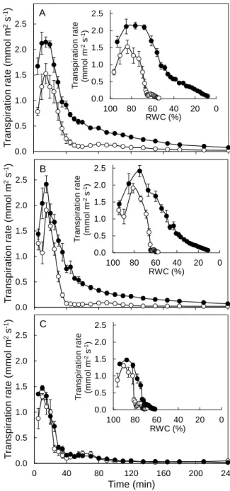 Fig. 1. Transpiration rate as a function of time and relative water content (RWC; inserts)  during leaflet desiccation in two sensitive (A, K148; B, K123) and one tolerant (C, K121)  genotypes to high relative air humidity (RH)