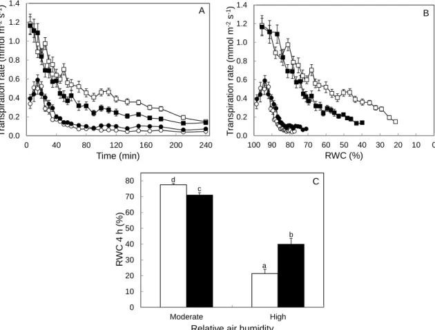 Fig.  2.  Transpiration  rate  as  a  function  of  time  of  desiccation  (A)  and  as  a  function  of  relative water content (RWC) (B) during 4 h of leaflet desiccation