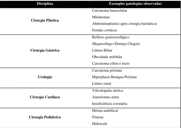 Tabela 3 ‐ Patologias mais observadas em cada disciplina 