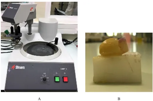 Figura  2.  Polimento  das  amostras.  A:  Aparelho  usado  no  polimento  das  amostras  LaboPol – 4® | B: Espécime após ser submetido ao polimento.