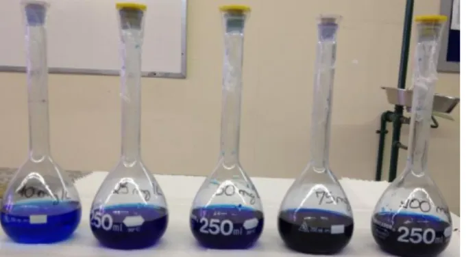 Figura 6 - Solução de Azul de Metileno nas  concentrações de 10, 25, 50, 75 e 100 mg L -1 , da 
