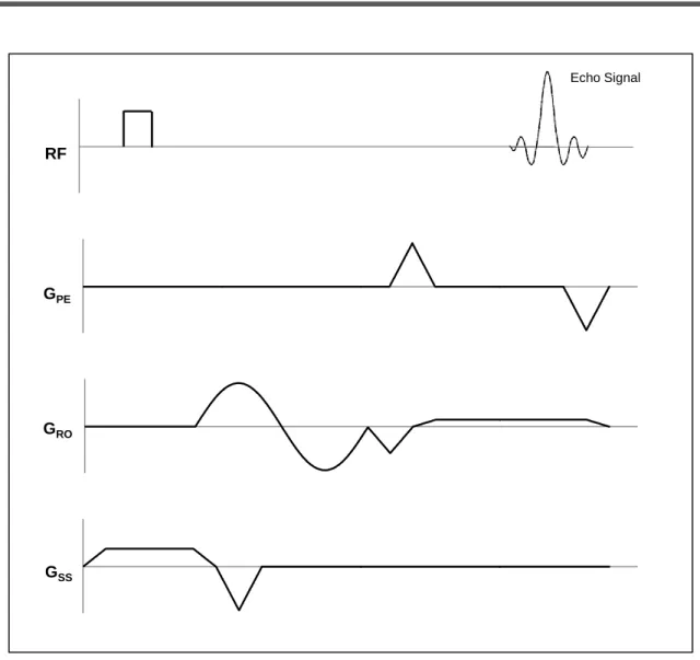 Figure  2.2.  MRE  pulse  sequence  schematic  diagram.  The  figure  depicts  the  gradient-echo  pulse  sequence  equipped  with  a  sinusoidal motion-sensitizing gradient in the read-out direction