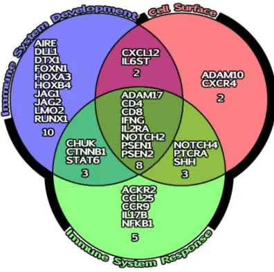 Figure  3.2.1  Venn  diagram  based  on  Go  terms:  Immune  System  response,  Cell  Surface  and  Immune  system development.W 