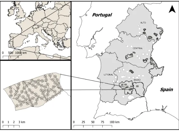 Figure 1 Location of the study area within Europe and Portugal. (A) Location of Alentejo, the study area, within Europe