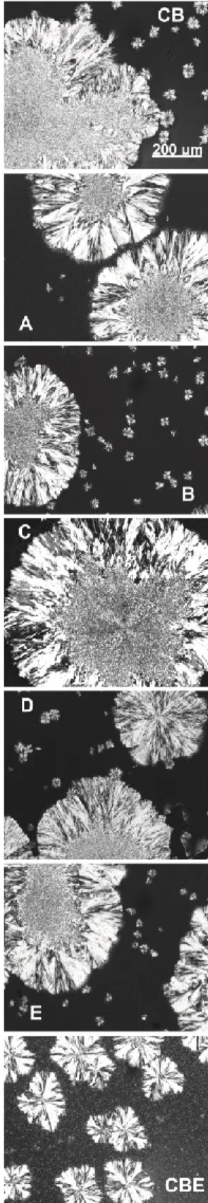 Figure 4. Polarized light microscopy pictures of crystals obtained cocoa  butter (CB), cocoa butter equivalent (CBE) and their blends