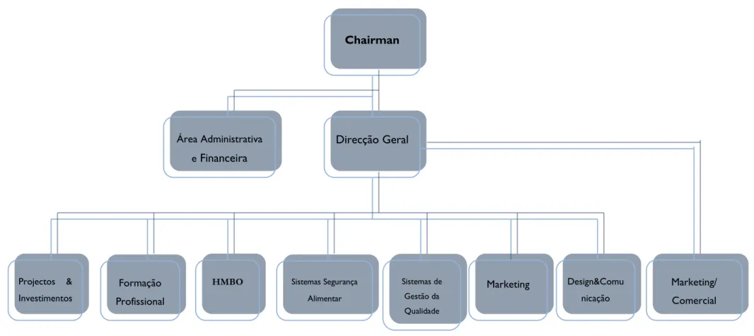Figura 9 - Estrutura organizacional da empresa HM ConsultoresChairman Direcção Geral  Marketing/ Comercial Área Administrativa e Financeira HMBO Formação Profissional Projectos &amp; Investimentos Sistemas Segurança Alimentar Sistemas de Gestão da Qualidad