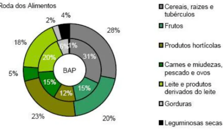 Figura 11- Roda dos Alimentos. 