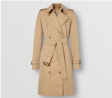 Figure 1 - The trench coat (2019) 