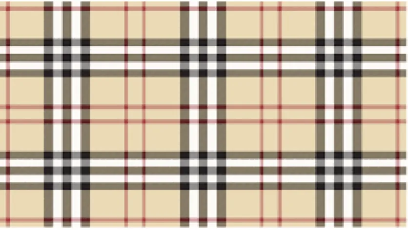 Figure 3 - The house check pattern 