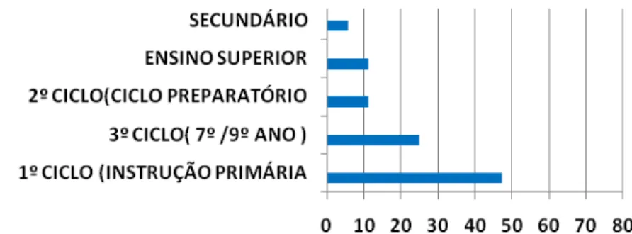 Gráfico 4 - Distribuição dos sujeitos (%) segundo o grau de escolaridade 