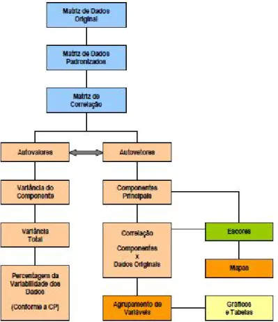 Figura 2: Etapas da Análise de Componentes Principais. 