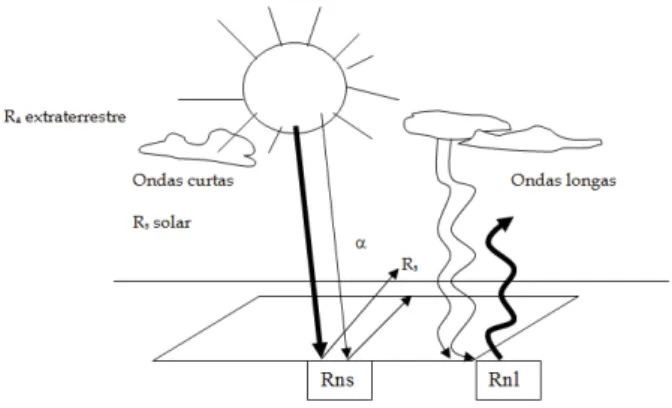 Figura 8.6 Balanço de radiação. 