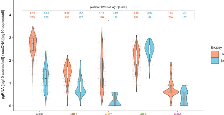 Figure 3. The transcriptional index is reduced when plasma HBV DNA levels decrease. The transcriptional index was calculated for each cell by dividing  the number of pgRNA copies by the number of cccDNA copies in the same cell (x axis)