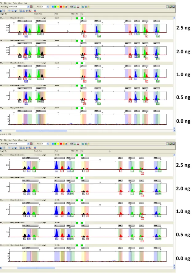 Fig. 3 - Sensitivity studies. Sensitivity of the proposed multiplex was investigated using different  samples concentration: 2.5 ng, 2.0 ng, 1.0 ng, 0.5 ng, 0.1 ng (not presented) and 0.0 ng