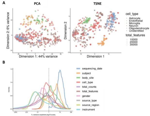 Figure 7.5: A- PCA and t-SNE of the Spaethling dataset; B – Explanatory variables. 