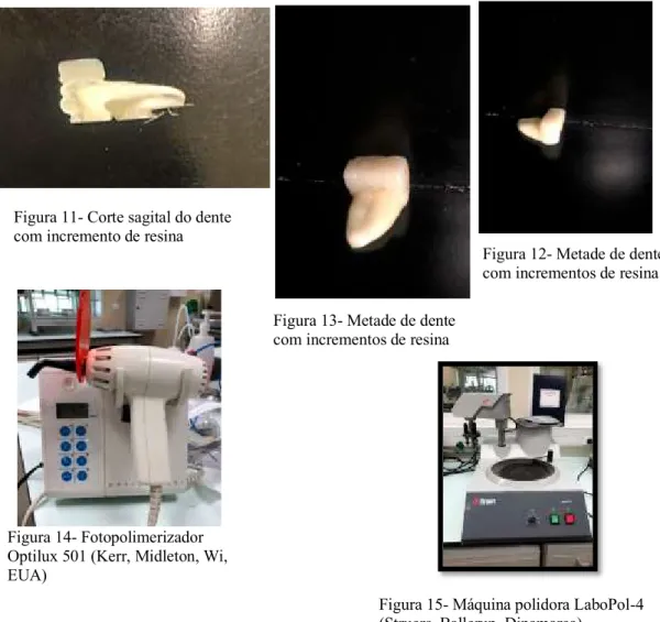 Figura 14- Fotopolimerizador  Optilux 501 (Kerr, Midleton, Wi,  EUA) 