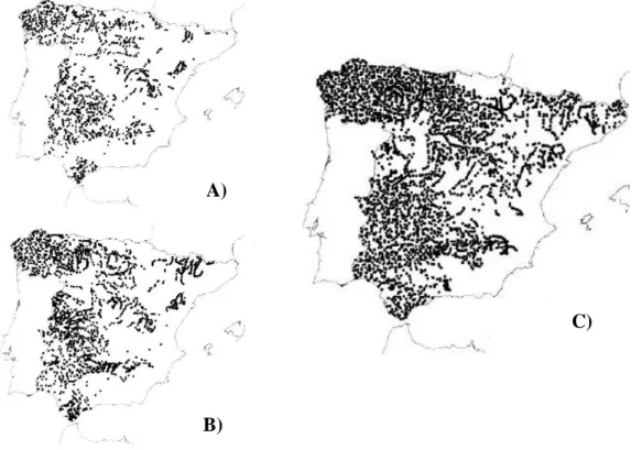 Figura 7. Mapas dos pontos de presença resultantes das prospeções espanholas: a) Prospeção de Delibes (1990); b) Prospeção  Ruiz-Olmo &amp; Delibes (1998); c) Prospeção López-Martín &amp; Jiménez (2008)